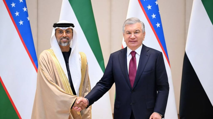 President of Uzbekistan receives Minister of Energy