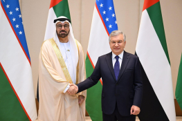 President of Uzbekistan receives UAE government delegation