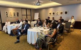 Education, Career Mobility and Residency: Strategies for Global Professionals