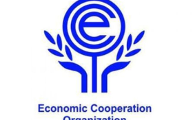 Economic Cooperation Organisation highlights future of economic diplomacy, tourism cooperation