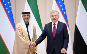 President of Uzbekistan receives Minister of Energy